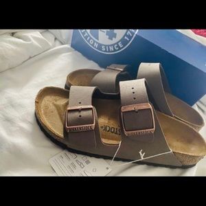 Arizona birken stocks